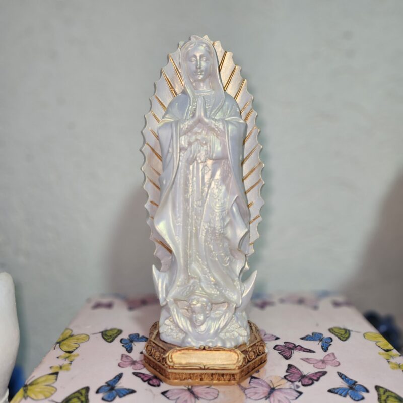 Virgen de Guadalupe 23
